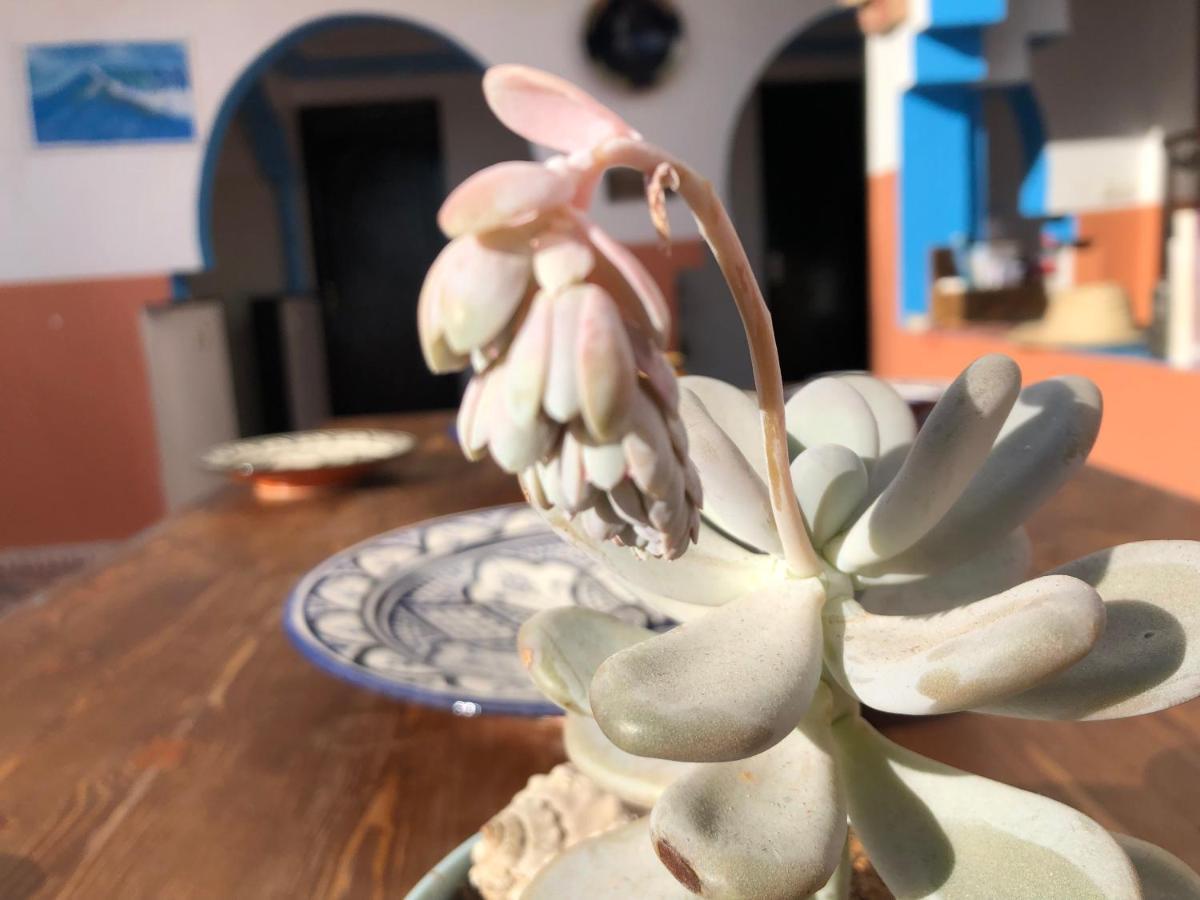 Binic Surf House Bed and Breakfast Taghazout Buitenkant foto