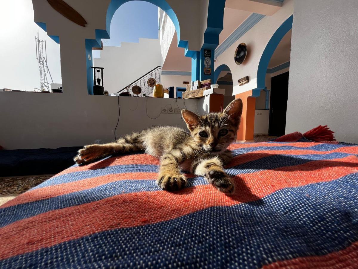 Binic Surf House Bed and Breakfast Taghazout Buitenkant foto